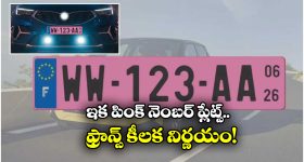 Pink Number Plates: ఫ్రాన్స్ లో కొత్తగా పింక్ నెంబర్ ప్లేట్లు, ఎందుకో తెలుసా?