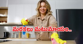 Furniture Cleaning: ఎంత రుద్దినా ఫర్నిచర్‌పై మరకలు పోవట్లేదా? ఈ సింపుల్ ట్రిక్స్‌ను ఓసారి ట్రై చేయండి!