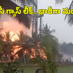 Konaseema Gas Leak: కోనసీమ గ్యాస్ లీకేజీపై సీఎం చంద్రబాబు ఆరా.. ఇరుసుమండను ఖాళీ చేయించిన అధికారులు