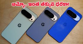 USA Telugu News: అమెరికాలో ఐసీఈ అరాచకం.. తెలుగు వారిపై ప్రత్యేక నిఘా.. రోజుకు 3,000 అరెస్టులే లక్ష్యం