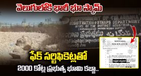 Sheep blood mafia: గొర్రె, మేకల రక్తాన్ని తీసి.. ఆ మాఫియా గుట్టురట్టు