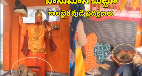 Mohammad Kaif:  తెలుగోడు నితీశ్ రెడ్డి ఆల్‌రౌండరే కాదు..అలాంటోడిని ఎందుకు ఆడిస్తున్నారు !