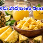 Health Benefits of Pineapple: వీలైతే ఈ పండును రోజూ తినండి.. ఎంతటి మొండి వ్యాధులైనా పారిపోవాల్సిందే!