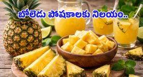 Swarnandhra 2047: ఏపీని 'నాలెడ్జ్ హబ్'గా మారుస్తాం: నారావారిపల్లెలో సీఎం చంద్రబాబు కీలక ప్రకటనలు!