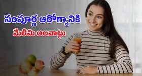 Assembly Sessions: బీఆర్ఎస్ బాయ్‌కాట్! నెక్స్ట్ ప్లాన్ ఏంటి?