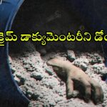 Honeymoon Se Hatya OTT : బ్లూ డ్రమ్ హత్యకేసు ఆధారంగా తెరకెక్కిన ‘హనీమూన్ సే హత్య’ డాక్యుమెంటరీ రిలీజ్ డేట్