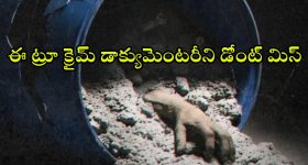 Honeymoon Se Hatya OTT : బ్లూ డ్రమ్ హత్యకేసు ఆధారంగా తెరకెక్కిన 'హనీమూన్ సే హత్య' డాక్యుమెంటరీ రిలీజ్ డేట్