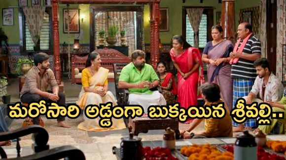 Illu Illalu Pillalu Today Episode: శ్రీవల్లి ఎంటర్టైన్మెంట్ మాములుగా లేదు.. విశ్వం దెబ్బకు మైండ్ బ్లాక్..రామారాజుకు టెన్షన్..