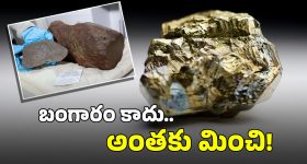 AP TET Results: ఏపీ టెట్ ఫలితాలు విడుదల.. డైరెక్ట్ లింక్ ఇదే
