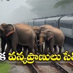 Indian Railways: లోకో మోటివ్ మీద ఏఐ కెమెరాలు, వన్యప్రాణులు చనిపోకుండా రైల్వే కీలక నిర్ణయం!