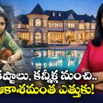 Indian Women Journey: రూ. 5 వేలతో ఉద్యోగం, ఇప్పుడు రూ. 3 కోట్ల ఇల్లు కొనేసింది.. హ్యాట్సాఫ్ హిమి!