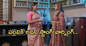 Intinti Ramayanam Today Episode: పల్లవి కొత్త డ్రామా.. సెంటిమెంట్ కు కమల్ ఫీల్.. అవనికి నిజం తెలుస్తుందా..?