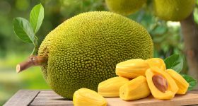 Jack Fruit: పనస తొనలను ఈ ఆరోగ్య సమస్యలు ఉన్న వారు తినకూడదు