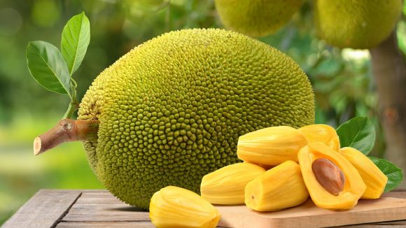 Jack Fruit: పనస తొనలను ఈ ఆరోగ్య సమస్యలు ఉన్న వారు తినకూడదు