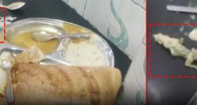 Jagtial News: చట్నీలో బల్లి.. 12 మందికి అస్వస్థత, జగిత్యాలలో ఘటన
