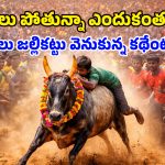 Jallikattu Bull Festival: జల్లికట్టు ఎందుకంత ఫేమస్? పోటీలో దిగాలంటే నాన్‌వెజ్ తినకూడదా? ఆసక్తికర విషయాలు ఇవిగో..