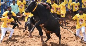 Brushing Mistakes: బ్రష్ చేస్తున్నారా.. లేక ఎనామెల్‌ను పోగొట్టుకుంటున్నారా ? ఈ పొరపాట్లు అస్సలు చేయకండి !