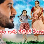 Telugu TV Serials : కార్తీక దీపం లవర్స్ కు బిగ్ షాక్.. టాప్ రేటింగ్ తో కొత్త సీరియల్..?