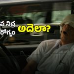 Japan Sleep: జపనీయులు నిద్రపోయేది 6 గంటలే.. కానీ అంత ఆరోగ్యంగా ఎలా ఉంటారో