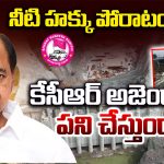 KCR: నీటి హక్కు పోరాటం.. కేసీఆర్ అజెండా పని చేస్తుందా?