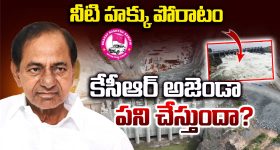 Government Land Encroachment: రూ. 2 వేల కోట్ల భూ దందా.. నకిలీ పత్రాలతో ప్రభుత్వ భూమికి ఎసరు!