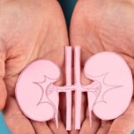 Kidney Foods: వీటిని ఎక్కువ తిన్నారంటే కిడ్నీల పని మటాష్