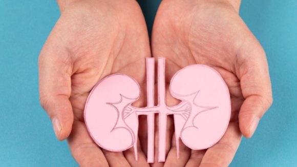 Kidney Foods: వీటిని ఎక్కువ తిన్నారంటే కిడ్నీల పని మటాష్