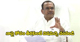 Bird Saliva Soup: ఈ పక్షి ఉమ్ము ఖరీదు రూ.10 లక్షలకు పైనే.. లొట్టలేసుకుని మరీ తింటున్నారు!