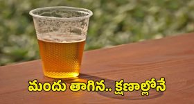 Uttar Pradesh Tragedy: డిస్పోజబుల్ గ్లాసులో మందు తాగి.. ఇద్దరు అన్నదమ్ముల మృతి