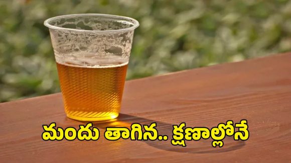 Uttar Pradesh Tragedy: డిస్పోజబుల్ గ్లాసులో మందు తాగి.. ఇద్దరు అన్నదమ్ముల మృతి
