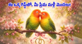 Vastu Tips: ప్రేమలో దూరం పెరుగుతోందా? మీ బంధాన్ని మళ్లీ చిగురింపజేసే ఆ ఒక్క మ్యాజికల్ గిఫ్ట్ ఇదే!