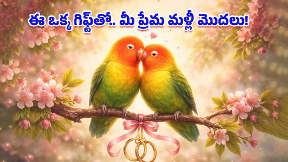 Vastu Tips: ప్రేమలో దూరం పెరుగుతోందా? మీ బంధాన్ని మళ్లీ చిగురింపజేసే ఆ ఒక్క మ్యాజికల్ గిఫ్ట్ ఇదే!