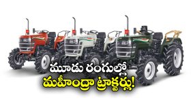 The Raja Saab: ది రాజా సాబ్ సినిమాతో అరుదైన రికార్డ్ సాధించిన ప్రభాస్.. దేశంలో అతనే తొలి హీరో!