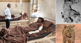 Man Kills Leopard: చిరుతతో అరగంటపాటు ఫైటింగ్.. తండ్రీ కొడుకు సేఫ్, పెద్దాయన ధైర్యానికి హ్యాట్సాఫ్