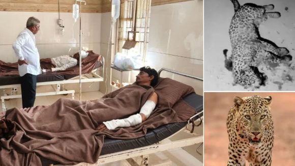 Man Kills Leopard: చిరుతతో అరగంటపాటు ఫైటింగ్.. తండ్రీ కొడుకు సేఫ్, పెద్దాయన ధైర్యానికి హ్యాట్సాఫ్