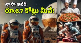 Nissan Gravite MPV:  నిస్సాన్ గ్రావైట్ MPV లాంచ్ డేట్ ఫిక్స్, డిజైన్, ఫీచర్లు చూస్తే వావ్ అనాల్సిందే!