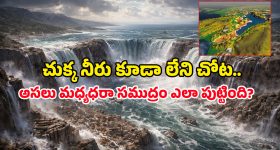 Chamala Kiran Kumar Reddy: సింగరేణిలో పదేళ్ల పాపాలు తేలాలి.. కిషన్ రెడ్డికి చామల లేఖ.. విచారణకు డిమాండ్!