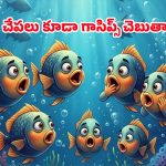 Midnight Snapper: సముద్ర గర్భంలో సంగీత కచేరీ.. పులిలా గర్జించే, డ్రమ్స్ వాయించే వింత చేపల గురించి మీకు తెలుసా?