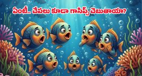Anil Ravipudi: పిల్లలకు ఆ రీల్స్ చూపించొద్దు.. పేరెంట్స్ ను రిక్వెస్ట్ చేసిన అనిల్ రావిపూడి!