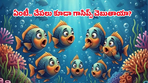 Midnight Snapper: సముద్ర గర్భంలో సంగీత కచేరీ.. పులిలా గర్జించే, డ్రమ్స్ వాయించే వింత చేపల గురించి మీకు తెలుసా?