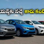 Colour Car Trends India: ఇండియన్స్ ఏ కలర్ కార్లను ఎక్కువగా ఇష్టపడుతారో తెలుసా? కారణం ఇదే!