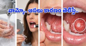 IND VS NZ 2nd Odi: ఆయుష్ బడోనితో మ‌రో కుట్ర‌కు తెర‌లేపిన గంభీర్‌..రెండో వ‌న్డే ఆడే టీమిండియా జ‌ట్టు ఇదే!