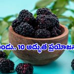 Mulberry Benefits: రక్తహీనత నుంచి డయాబెటిస్ వరకు.. అన్నింటికీ ముల్బెర్రీ ఒకటే పరిష్కారం!