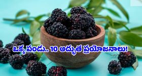 Mulberry Benefits: రక్తహీనత నుంచి డయాబెటిస్ వరకు.. అన్నింటికీ ముల్బెర్రీ ఒకటే పరిష్కారం!