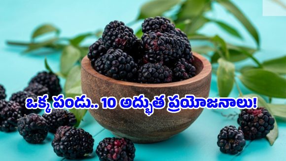 Mulberry Benefits: రక్తహీనత నుంచి డయాబెటిస్ వరకు.. అన్నింటికీ ముల్బెర్రీ ఒకటే పరిష్కారం!