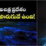 Mystery Place: అక్కడ అర్థరాత్రి పూట నీళ్లు మిలమిల మెరుస్తాయ్, నిజంగా ఇదో వండర్!