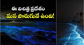 Jabardasth Rajamouli : ఆ ఇద్దరే నా కెరియర్ నాశనం అవ్వడానికి కారణం?