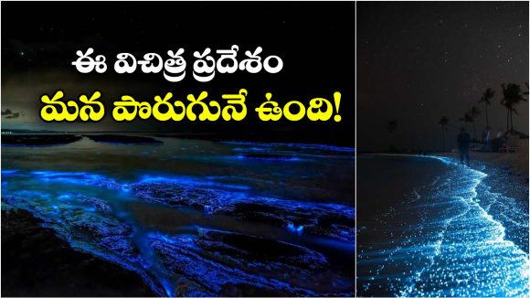 Mystery Place: అక్కడ అర్థరాత్రి పూట నీళ్లు మిలమిల మెరుస్తాయ్, నిజంగా ఇదో వండర్!