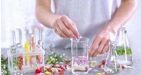 Natural Perfumes: ఇక ఖరీదైన పెర్ఫ్యూమ్స్‌కు గుడ్‌బై.. సహజసిద్ధంగా ఇంట్లోనే తయారు చేసుకునే సింపుల్ మార్గం ఇదిగో!