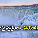 Niagara falls: నయాగరా నయా లుక్.. మంచుతో మైమరపిస్తోన్న జలపాతం!